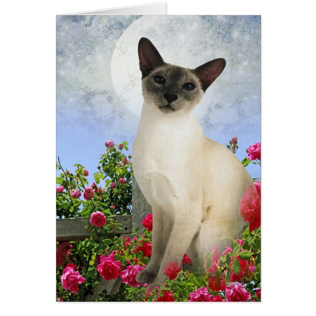 Gato siamés en tarjetas de cama rosa (Frente)