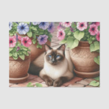 Gato siamés en un jardín con papel de tejidos en m