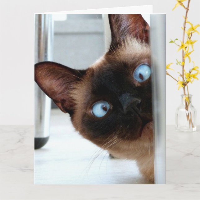 GATO SIAMÉS MIRANDO TARJETA DE FELIZ CUMPLEAÑOS (flor amarilla)