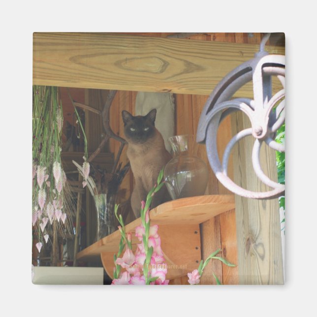 Gato siamés posando un imán fotográfico animal #2 (Frente)