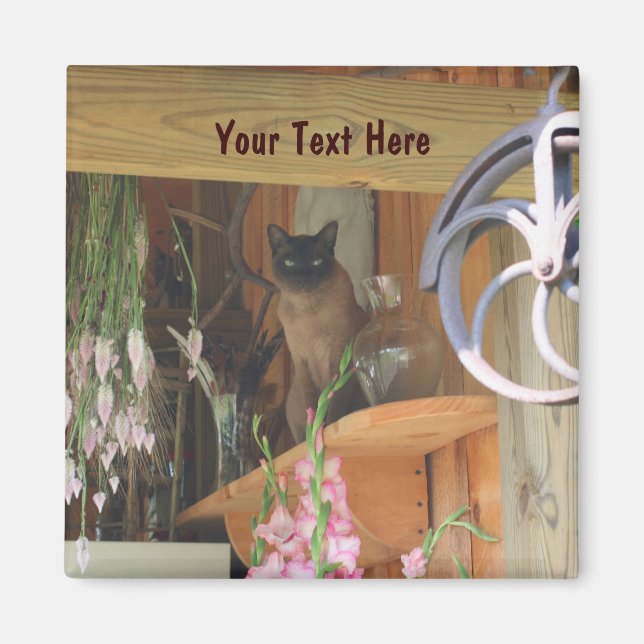 Gato siamés posando un imán fotográfico animal #2 (Frente)