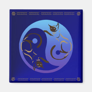 Gato siamés Yin e imán de Yang