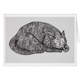 gato soñoliento