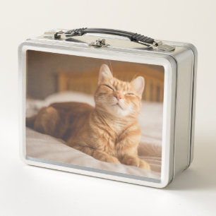Gato soñoliento de las imágenes el   de Getty