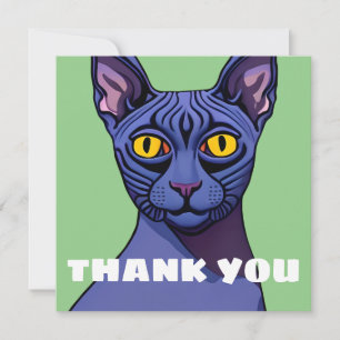 Gato Sphynx