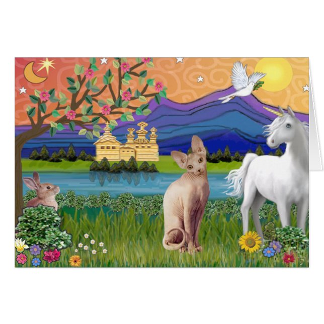 Gato Sphynx 1 - Tierra de Fantasía (Anverso (Horizontal))