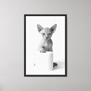 Gato Sphynx Juguetón Guarda Papel Higiénico Arte E