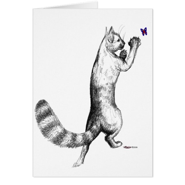 Gato Springs (Frente)