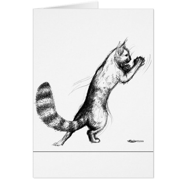 Gato Springs2 (Frente)