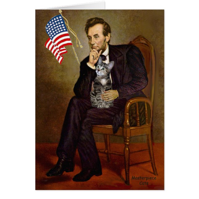 GATO (Tabby2) - Lincoln (Frente)