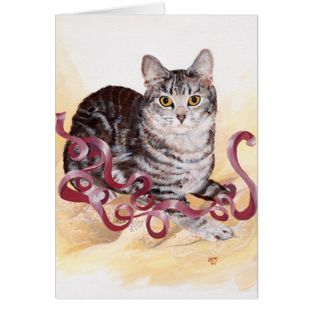 Gato Tabby American Shorthair (Frente)