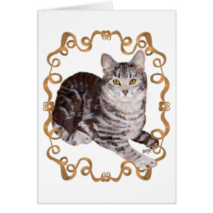 Gato Tabby American Shorthair Cinta Marrón