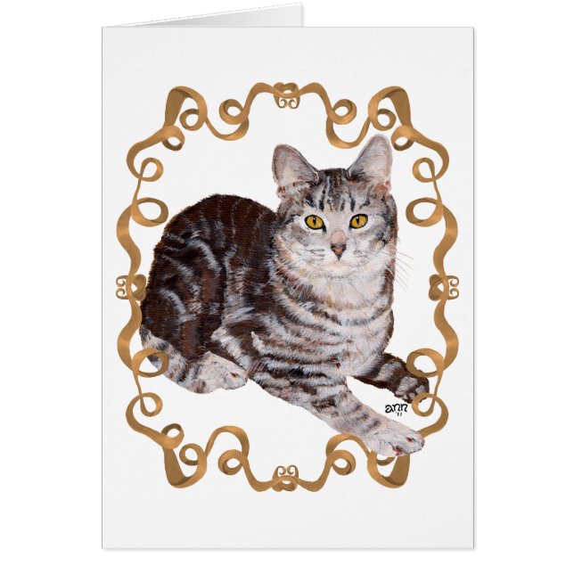 Gato Tabby American Shorthair Cinta Marrón (Frente)