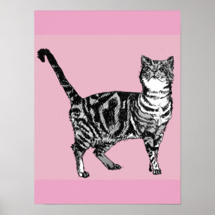 Gato Tabby Atigrado Rosa Lindo Arte de Póster de G