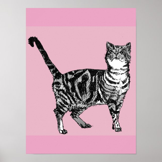 Gato Tabby Atigrado Rosa Lindo Arte de Póster de G (Frente)