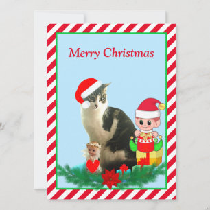 Gato Tabby de Navidad, Ángel y Elfo Lindo en Rojo