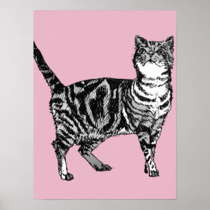 Gato Tabby de rayas rosadas lindas arte de cartel