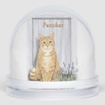 Gato Tabby Jengibre en la puerta de lavanda Person