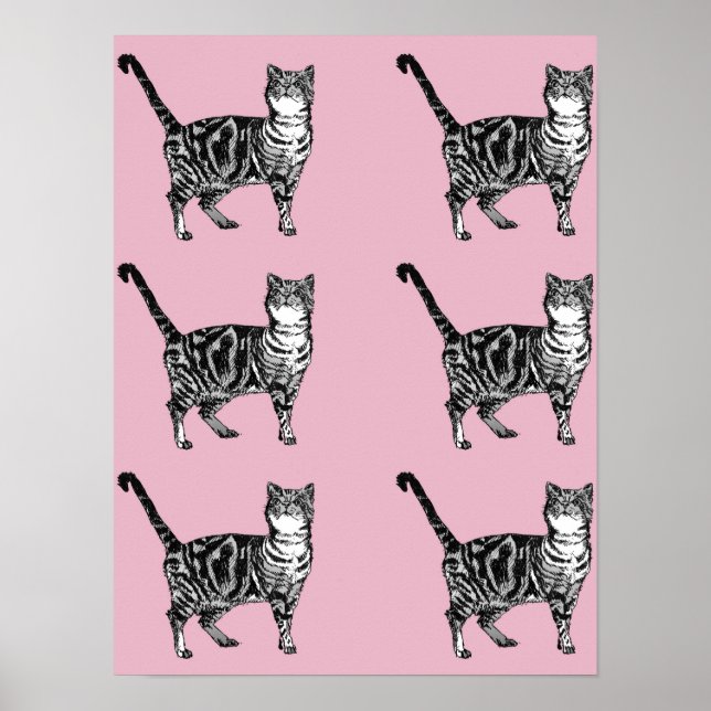 Gato Tabby Rayado Rosa Lindo Arte de Póster de Gat (Frente)