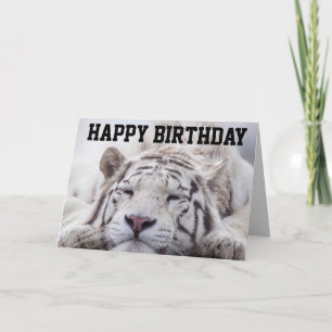 GATO TIGRE BLANCO DORMITA, COME PASTEL, TARJETA DE