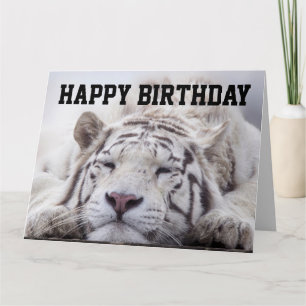 GATO TIGRE BLANCO SIESTA, COME PASTEL, TARJETA DE 