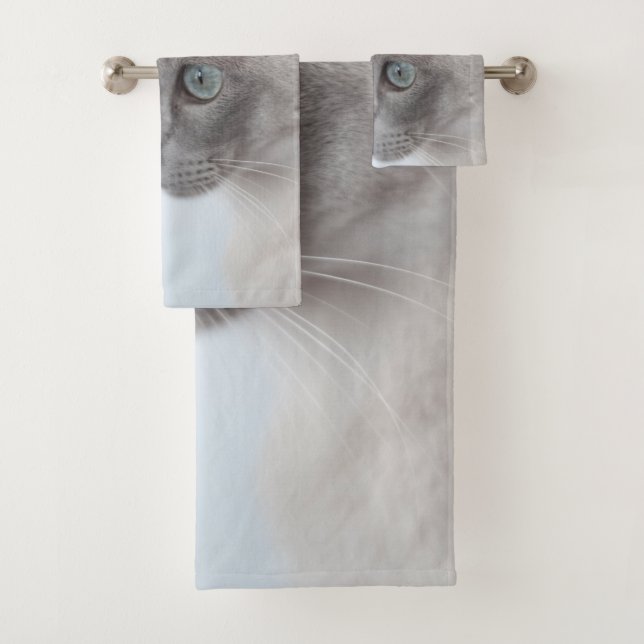 Gato tonkinés (In situ)