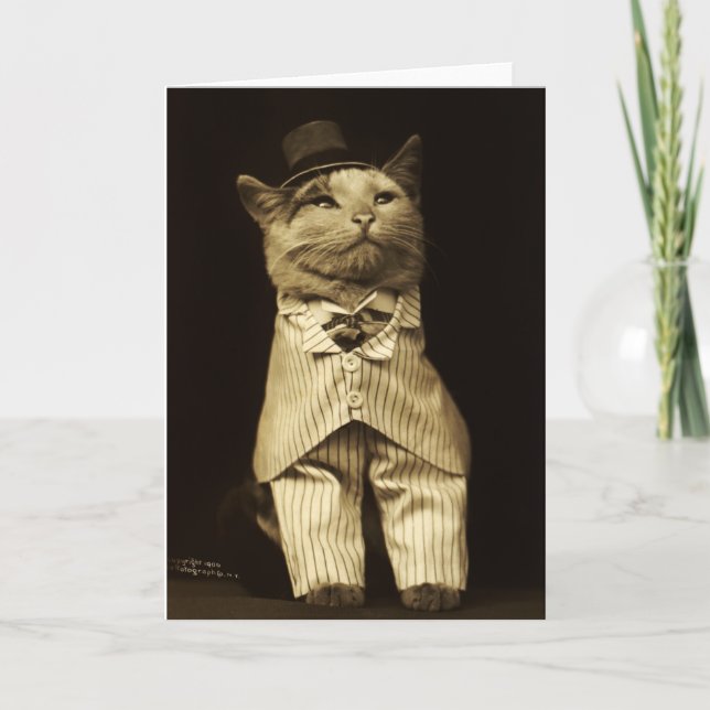 Gato vestido con tarjeta de felicitación vintage d (Anverso)