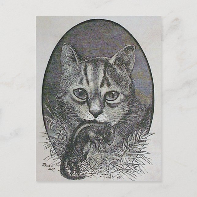 Gato victoriano con tarjeta postal de Navidades de (Anverso)