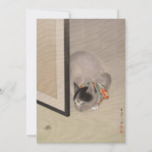 Gato viendo una araña   Oide Tōkō