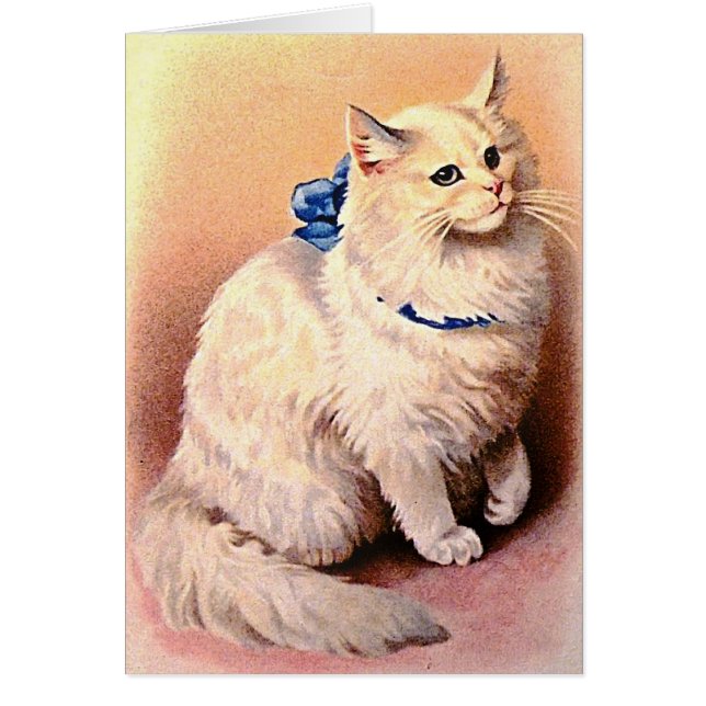 Gato vintage con arco azul (Frente)