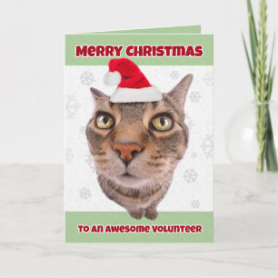 Gato Voluntario Feliz Navidad con Gorro de Santa H