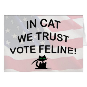 Gato votado con bandera estadounidense