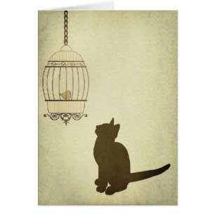 Gato y Birdcage