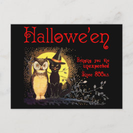 Gato y búho en la postal vintage de Halloween