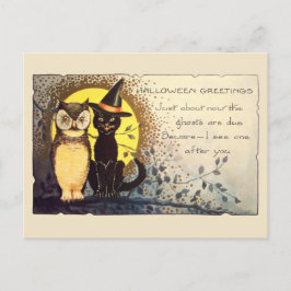 Gato y búho en la postal vintage de Halloween