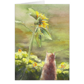 Gato y girasol