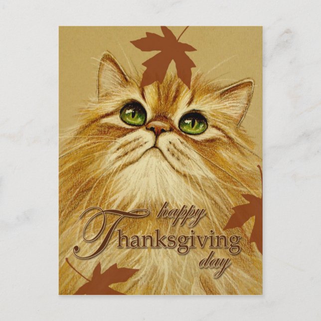 Gato y hojas - postal del jengibre (Anverso)