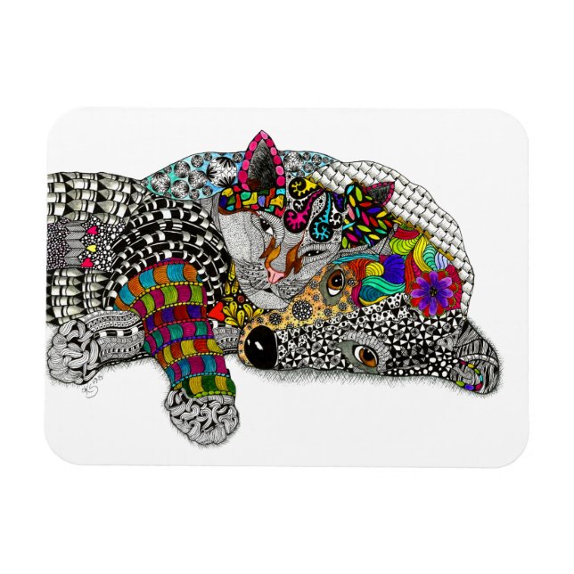 Gato y imán (Horizontal)