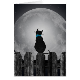 Gato y luna llena