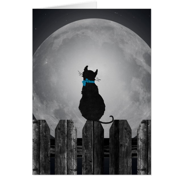 Gato y luna llena (Frente)