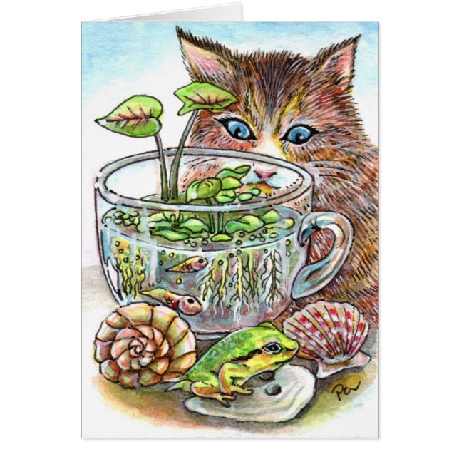 Gato y rana (Frente)