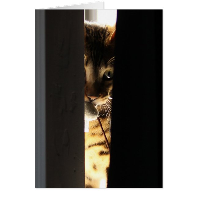 Gato y ratón (Frente)