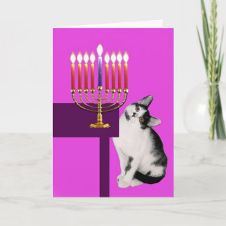 Gato y tarjeta rosados de Menorah Jánuca