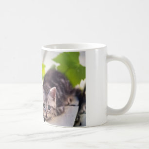 Gato y taza de los mejores amigos del conejito