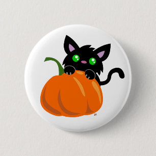Gato y un botón de calabaza