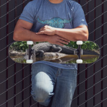 Gator de Florida - Patineta Americana de Alligator
