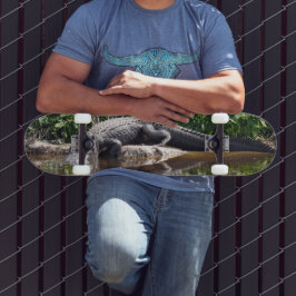 Gator de Florida - Patineta Americana de Alligator