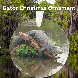 Gator de pantano de Florida - Ornamento acrílico