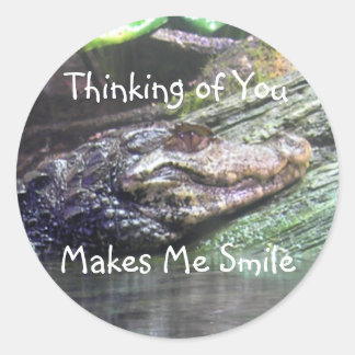 'Gator Grins: Pensando en ti - Pegatina