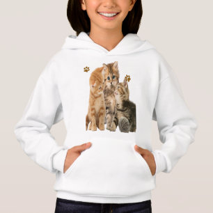 Gatos